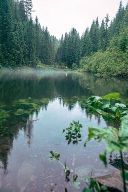 Sarı yağmurluklu bir adam dağ gezgini konseptine bakıyor.