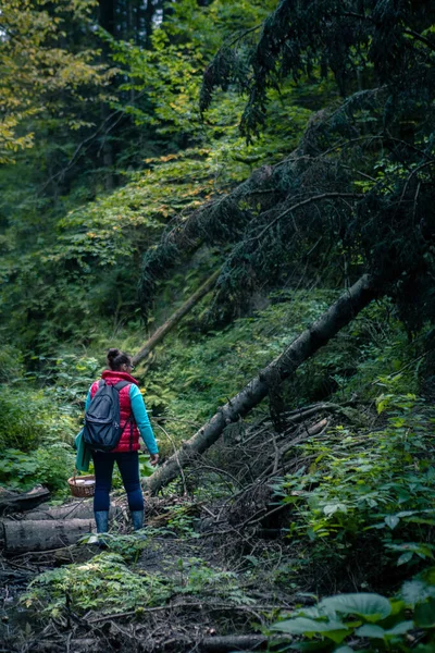 Femeie Coș Mers Jos Pădure Căutarea Ciuperci Copia Spațiu — Fotografie, imagine de stoc