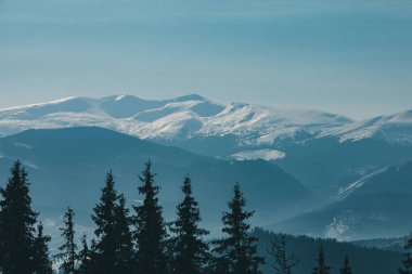 Kışın panoramik manzarası karlı dağların doğadaki güzelliği. Boşluğu kopyala