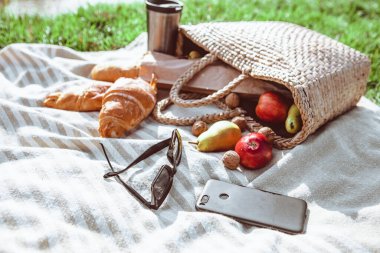 Nehir kıyısında piknik. Sonbahar güneşli gün. Kopyalama alanı.