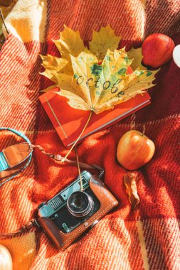 Sonbahar parkında üzerinde kitap ve eski bir retro kamera olan battaniye. Boşluğu kopyala