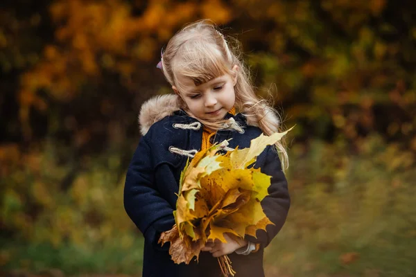 Retrato Cute Toddle Meninas Outono Roupa Com Folhas Bordo Mãos — Fotografia de Stock