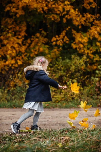 단풍나무 의상을 귀여운 수수께끼 소녀들의 — 스톡 사진