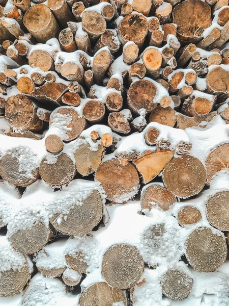 Baumstämme Schnee Aus Nächster Nähe Tapete — Stockfoto
