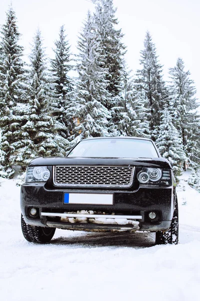 Suv Carro Espaço Cópia Floresta Nevada — Fotografia de Stock