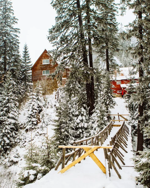 Snow Covered Bridge Forest Building Background — Stock Photo, Image