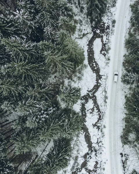 Εναέρια Άποψη Των Οχημάτων Εκτός Δρόμου Στο Χειμερινό Δάσος Μονοπάτι — Φωτογραφία Αρχείου