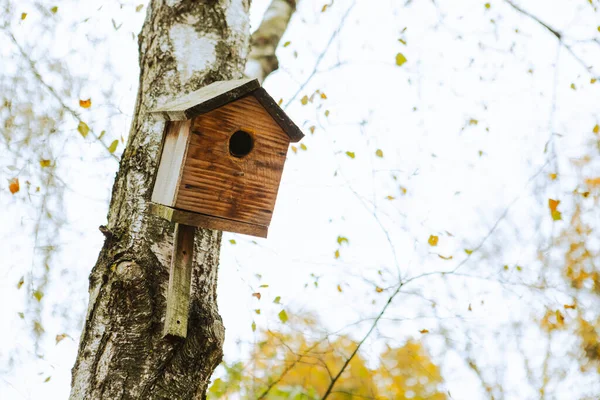 Ağaçtaki kuş evi sonbahar sezonu kopyalama alanı