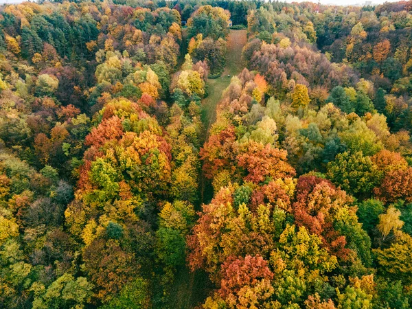 Vista Aérea Floresta Outono Espaço Cópia Colorida — Fotografia de Stock