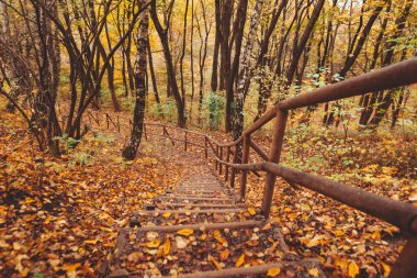 Sonbahar parkındaki merdivenler sonbahar sezonu