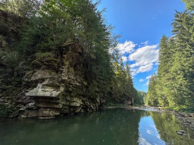Bereketli Ormanda akan Serene Nehri Kopyalama Boşluğu