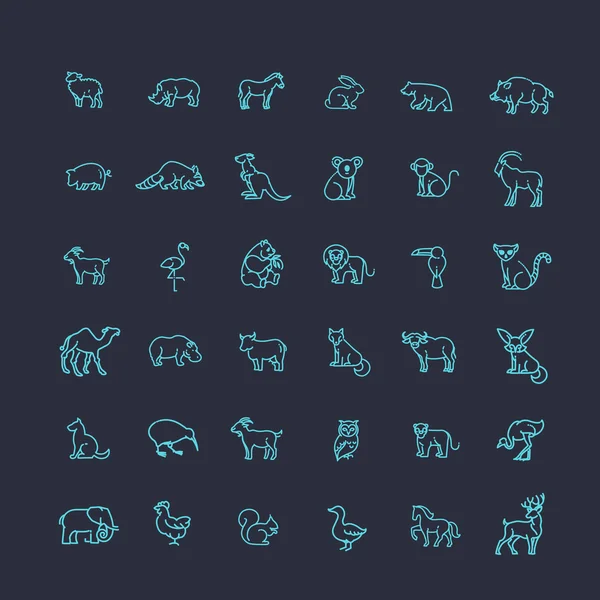 Iconos vectoriales. Zoológico. Animales. — Vector de stock