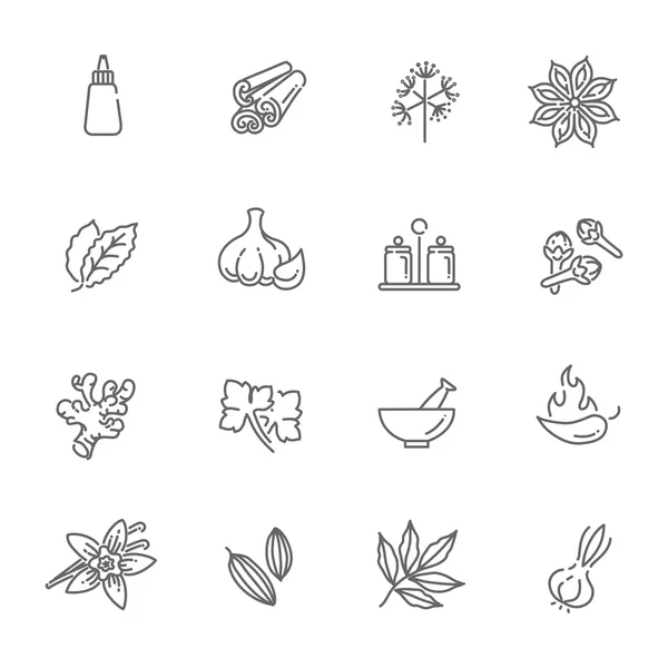 Web icon set - spices, condiments and herbs — Stock Vector