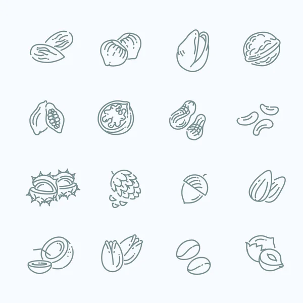 Web-ikoner samling - nötter, bönor och frön — Stock vektor