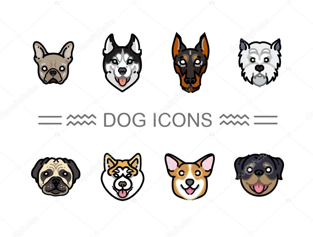 Set icons dogs. vector icons dog breeds