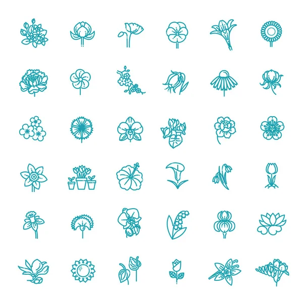 Set Voor Floral Icon Platte Ontwerp Dunne Lijnstijl — Stockvector