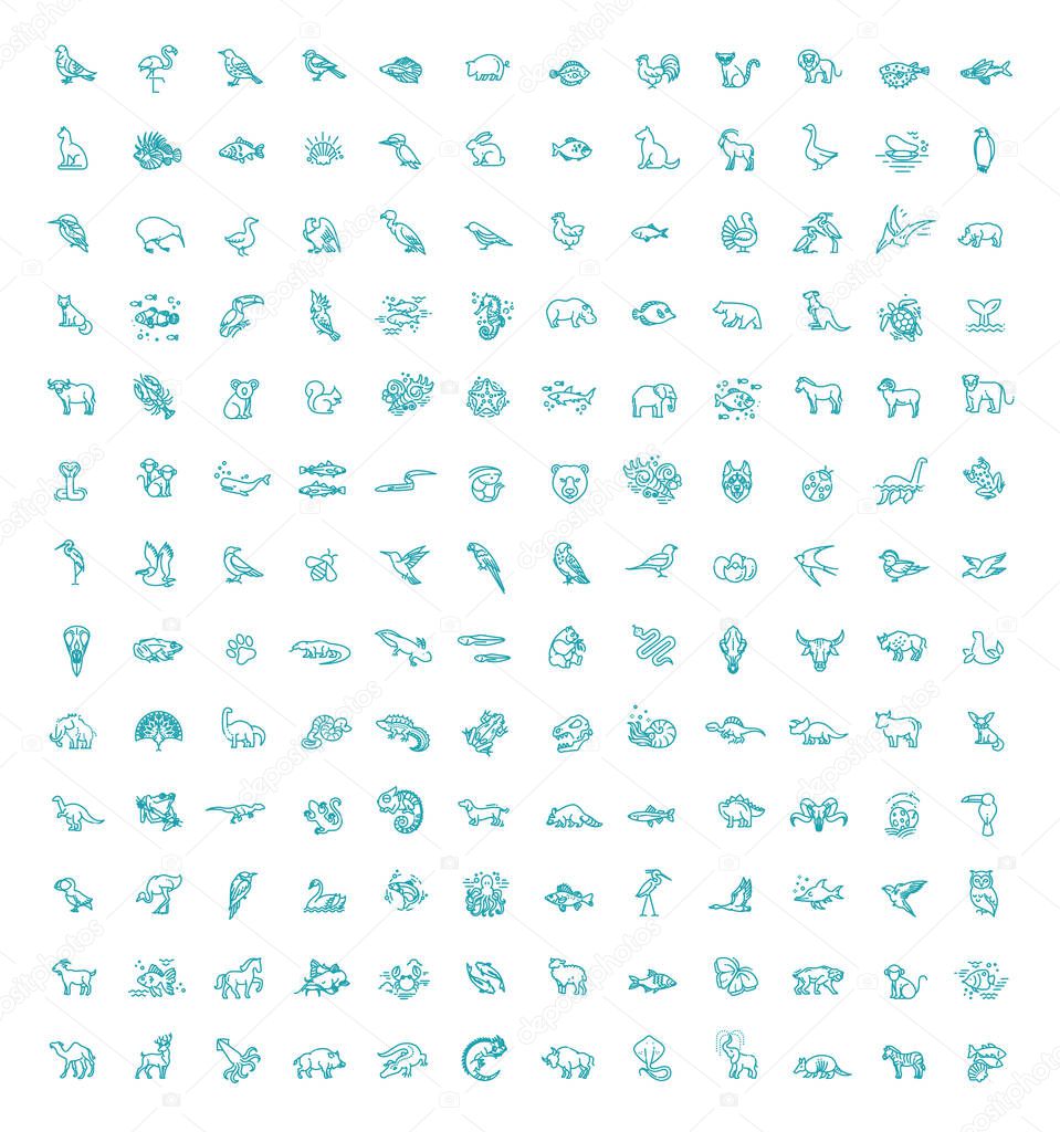 animal icons. vector outline icon set. Zoo