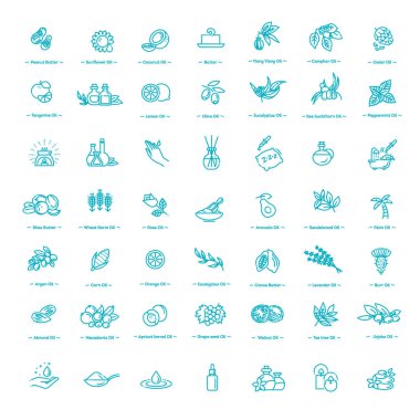 Doğal malzemeler ve yağlar. Vektör satırı simgeleri