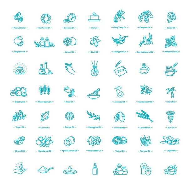 Natural Ingredients Oils Vector Line Icons — Stock Vector