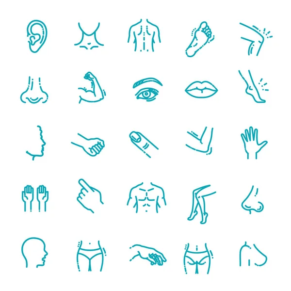 Partes del cuerpo humano iconos cirugía de la cara plástica, iconos de vectores médicos — Archivo Imágenes Vectoriales