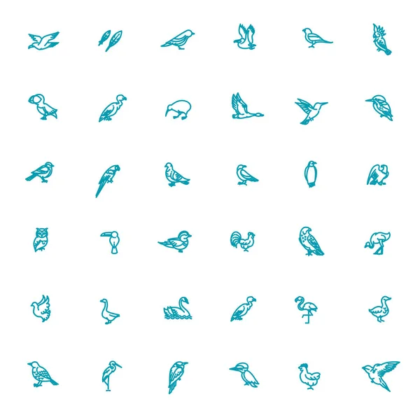 Conjunto de aves diferentes. Iconos de línea vectorial — Vector de stock