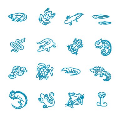 Sürüngen ve amfibik kertenkele, yılanlar ve diğer sürüngen vahşi hayvanlar.