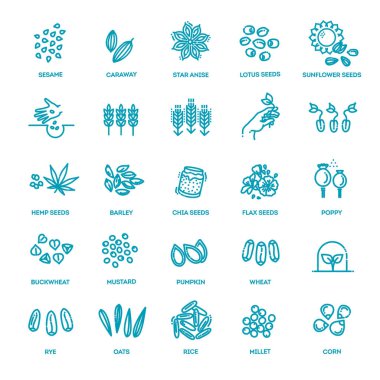 Beyaz üzerine izole edilmiş ana hatlı tahıl taneleri