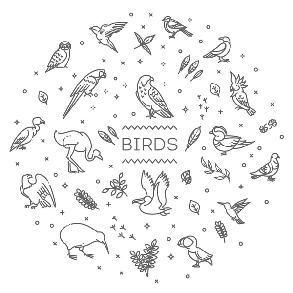 Vettore Linea Set Uccelli Diversi — Vettoriale Stock