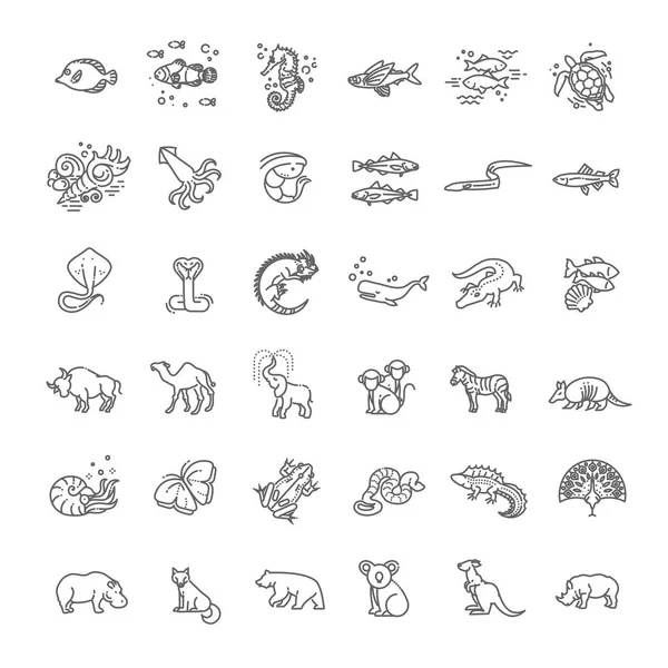 Line Animals Concepts Icons Set — Stock Vector