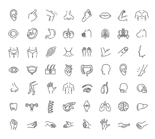 Düz tasarım tıp ve sağlık alanında vektör çizgisi simgeleri, işaret ve simgeleri belirle