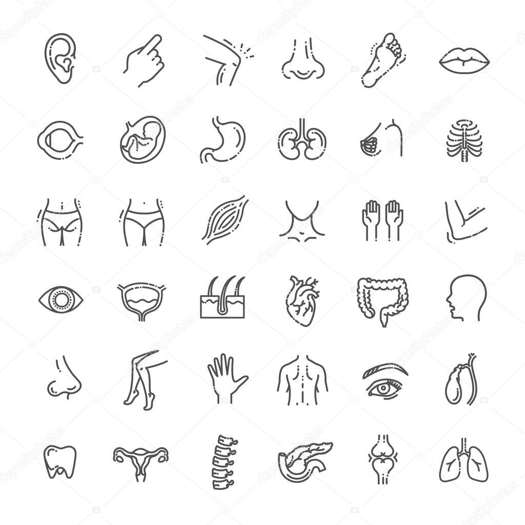 Set vector line icons, sign and symbols in flat design medicine and health