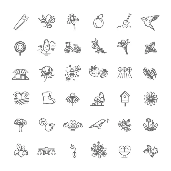 Collection d'icônes vectorielles de jardinage. Fleur et jardinage — Image vectorielle