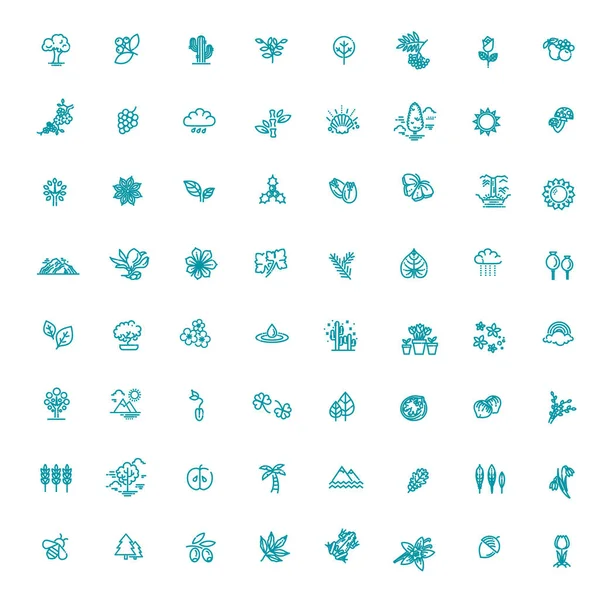 Set of Outline Natural Icons Vector Illustration — Stock Vector