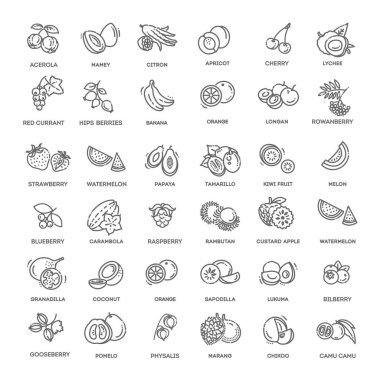 Meyveler, böğürtlenler, vejetaryen - en az ince çizgi ağ simgesi seti