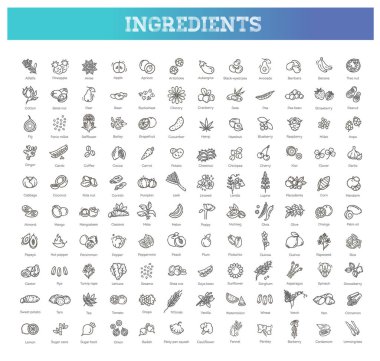 Sebze ve meyve ince çizgi ikonu seti. Vektör bileşenleri