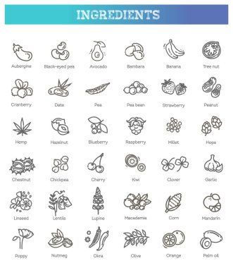 Sebze ve meyve ince çizgi ikonu seti. Vektör bileşenleri