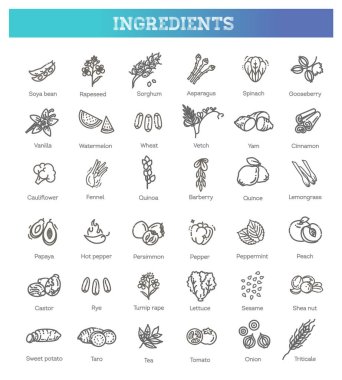 Vegetables and fruit thin line icon set. Vector ingredients clipart