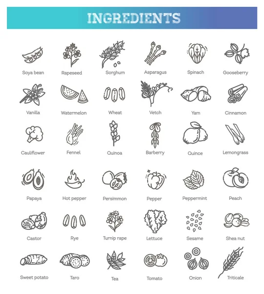 Légumes et fruits ligne mince icône ensemble. Ingrédients vecteurs — Image vectorielle