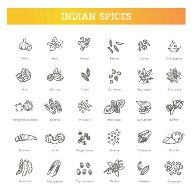 Popüler Hint baharatlarının vektör seti