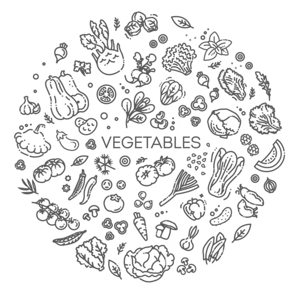 Raccolta di disegni di scarabocchi vegetali. Illustrazione vettoriale — Vettoriale Stock