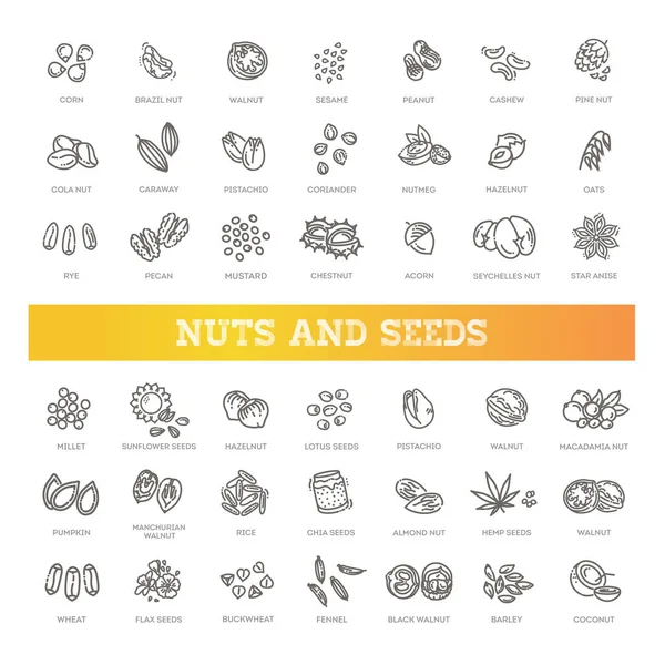 Web-ikoner samling - nötter, bönor och frön. — Stock vektor