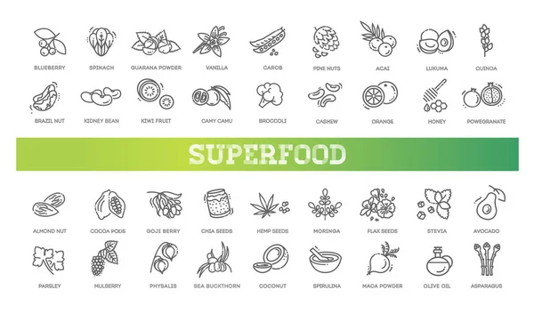 Ikon vektor garis superfoods. Organik superfoods - Stok Vektor
