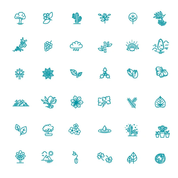 Conjunto de Esquema Iconos Naturales Ilustración Vectorial — Vector de stock