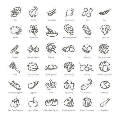 Sebze ikonu. Büyük Vektör Koleksiyonu