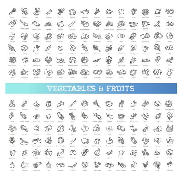 Тонкая линия плоская конструкция. Большая коллекция. 168 векторных значков