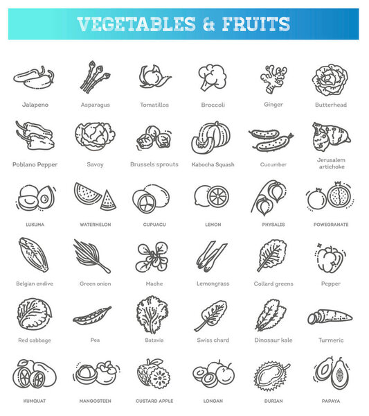 Thin line flat design. Vector icons