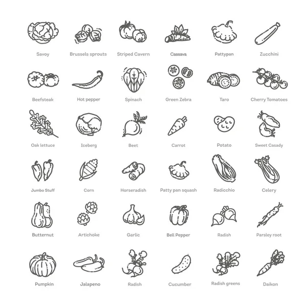 Iconos Vegetales Gran Colección Vectores — Archivo Imágenes Vectoriales