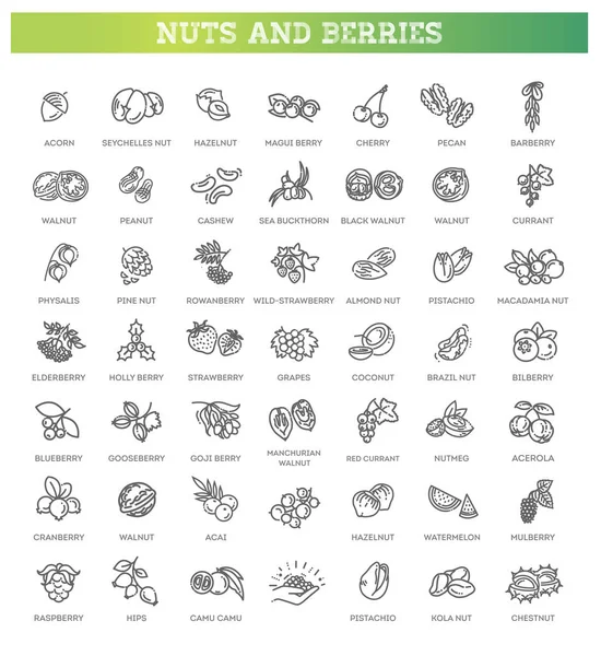 Web icons collection - nuts and berries. Vector symbols — Stock Vector