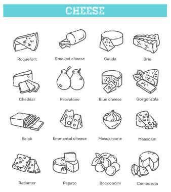 Peynir koleksiyonu. Peynir türlerinin vektör illüstrasyonu