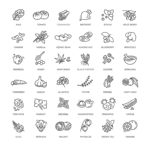 Superfoods Línea Vectorial Iconos Vector Superalimentos Ecológicos — Vector de stock